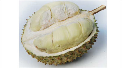 9 Durian dari Berbagai Daerah Di Indonesia