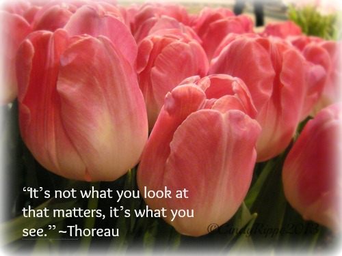 Pink Tulips, Thoreau quote, Spring Flowers, Chicago Flower and Garden Show, Florals-Family-Faith, Cindy Rippe