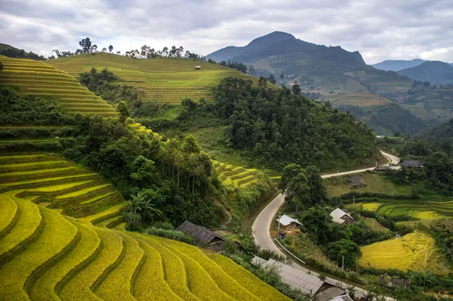 Tranh 3D Ruộng Bậc Thang Việt Nam