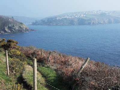 Polruan and where the River Fowey joins the sea