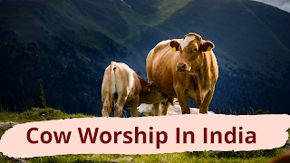 Cow worship in india