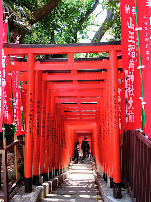 santuario torii rojos japon