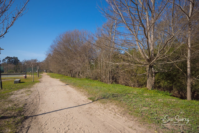 Ruta das ánimas por el río Miñor