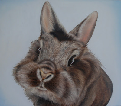 Pet Portrait rabbit oil on canvas