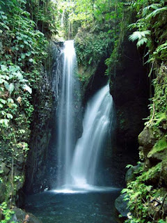 Air Terjun Gitgit