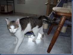 Jack 4 19.04.12