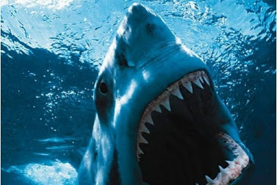 Shark Night 3D le film