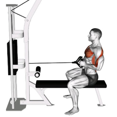 Seated Cable Row