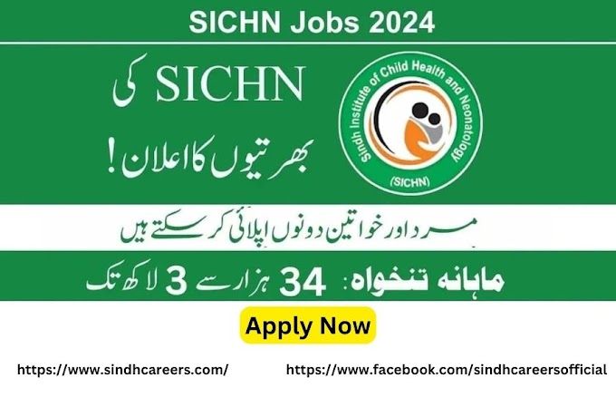 Sindh Institute of Child Health & Neonatology Jobs