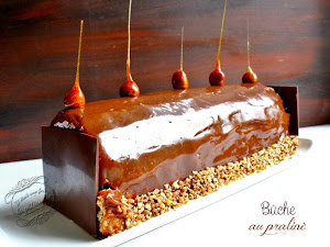 Bûche Monteviso au praliné {par Eric Vergne}