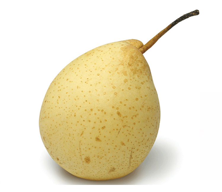 Asian pear Fruit -Nashi Nashpati