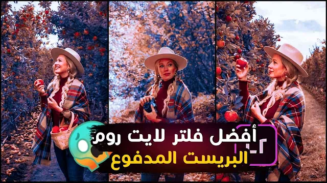 افضل فلاتر لايت روم البريست المدفوع