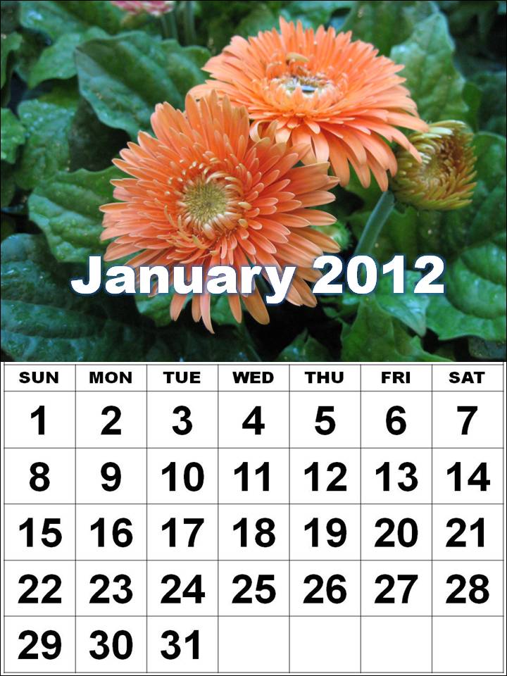 annual calendar 2012. annual calendar 2012. august