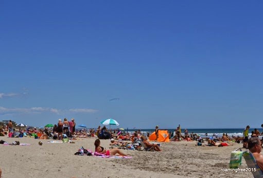 Busy day at the beach