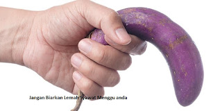 Apa Bahan makanan untuk penyembuh lemah syahwat