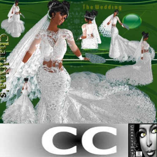 It is called Charltina's Take a Chance wedding gown because it just lures