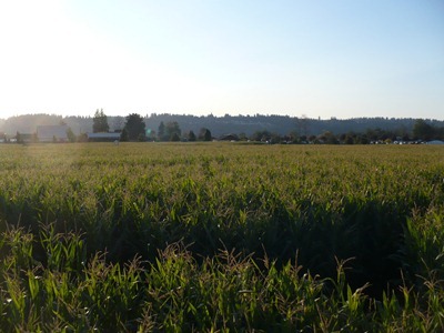 P1110379