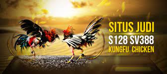 Daftar Agen Judi Sabung Ayam Sv388 Online24jam Resmi Terbaik 2022