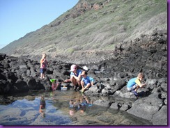 tide pools 024 - Copy
