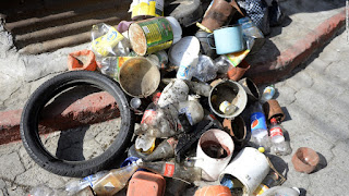 Discarded containers favored by female Aedes aegypti