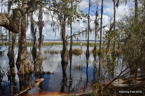 Lake Louisa