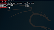 Cara Menghapus Kernel yang Tidak Digunakan di Kali Linux