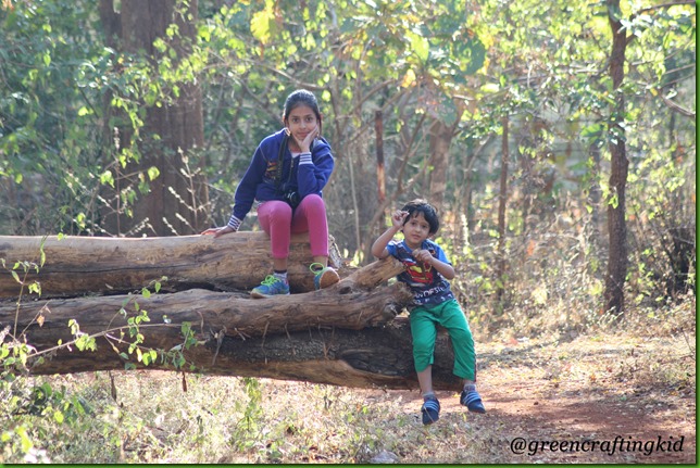 Kids in Jungle