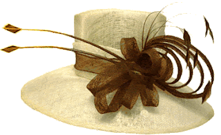 Fashion Model Hat