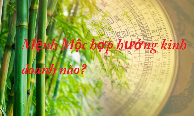 Mệnh mộc kinh doanh hướng nào tốt nhất? Tìm hiểu ngay