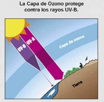 Capa de ozono