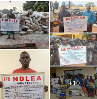 NDLEA intercepts Brazil returnee with parcels of cocaine, others in powdered milk, baby food, sound systems at Lagos airport