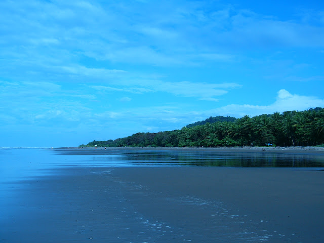 Playa Dominical, Limón