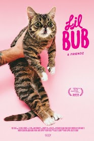 Lil Bub & Friendz (2013)