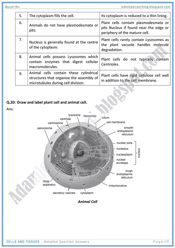 cells-and-tissues-detailed-question-answers-biology-9th