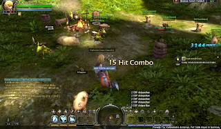 Cheat DN Dragon Nest Indo 2013