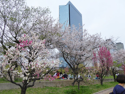 Osaka Castle Park　大阪城桃園（Peach Grove）