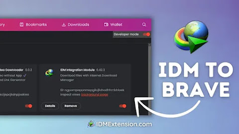 2024 ▷ Add IDM Extension in Brave Browser [Skip Fake Methods]