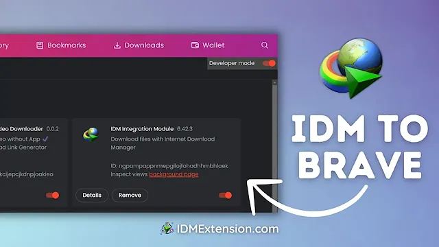 How to Add IDM Extension in Brave Browser