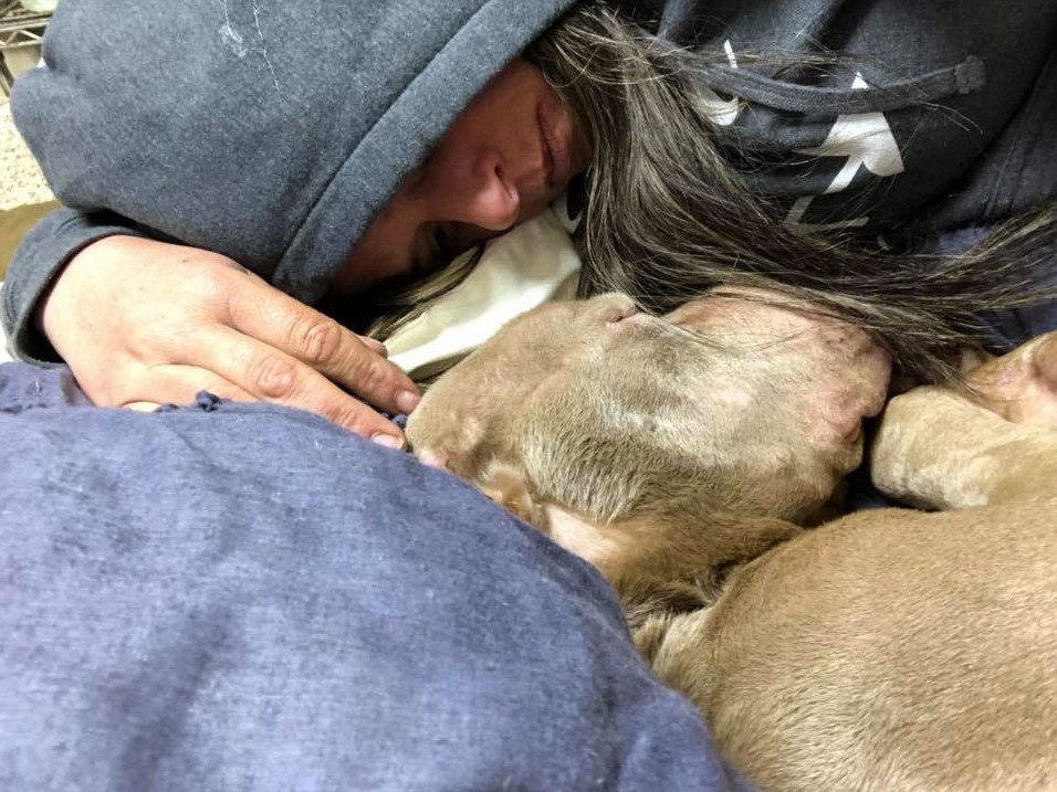 Woman Spends The Night In A Shelter Holding A Dying Dog