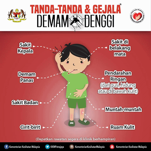 Tanda-Tanda Dan Rawatan Demam Denggi