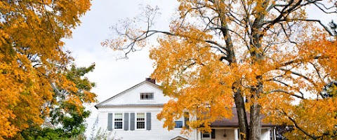 QUALITY TREE CARE DOESN'T HAVE TO BE HARD. READ THESE TIPS
