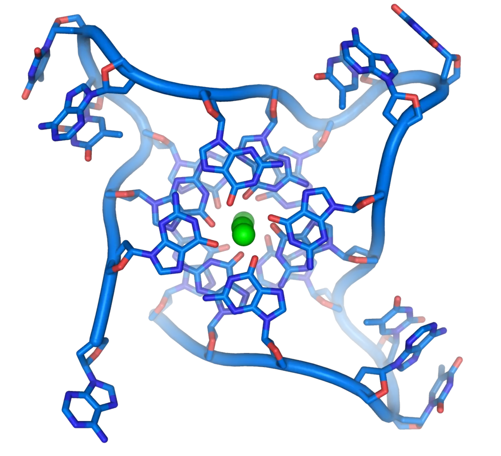Nucleic Acid Memory Advancing Data Storage with DNA