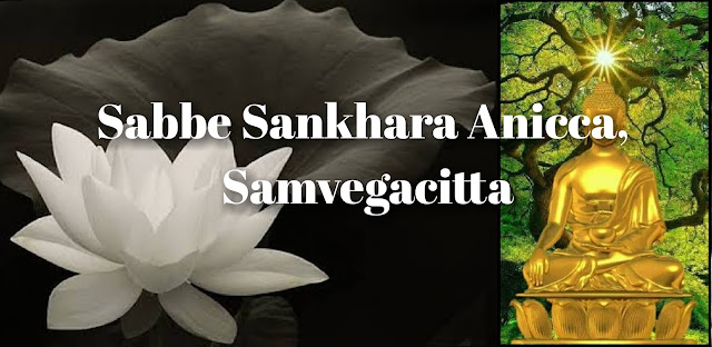 https://syehhakediri.blogspot.com/2023/11/sankhara-anicca-samvegacitta-umat-budha.html