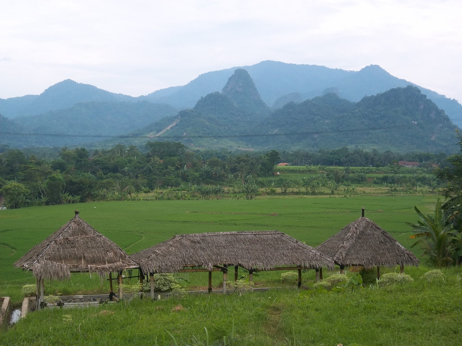 GAMBAR PEMANDANGAN SAWAH DAN PEGUNUNGAN TERINDAH Freewaremini