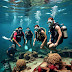 What Can Beginners Expect from Scuba Diving in Andaman