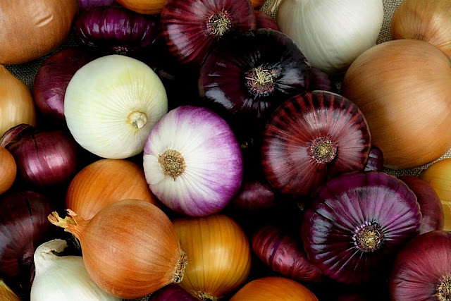 Best all time vegetable Onions - Trading, Reselling, Wholesale Business Idea - Red Onions