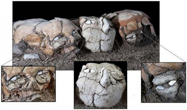 Оштукатуренные черепа из докерамического неолита в Йифтахеле в Израиле