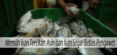 Ikan Segar Bebas Pengawet