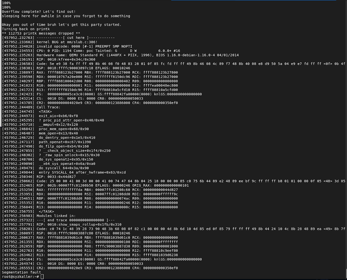 Kernel backtrace showing the double free condition detection