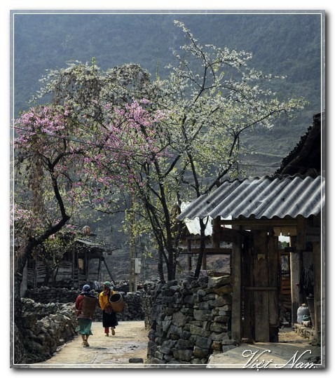 Cảnh Đẹp Việt Nam
